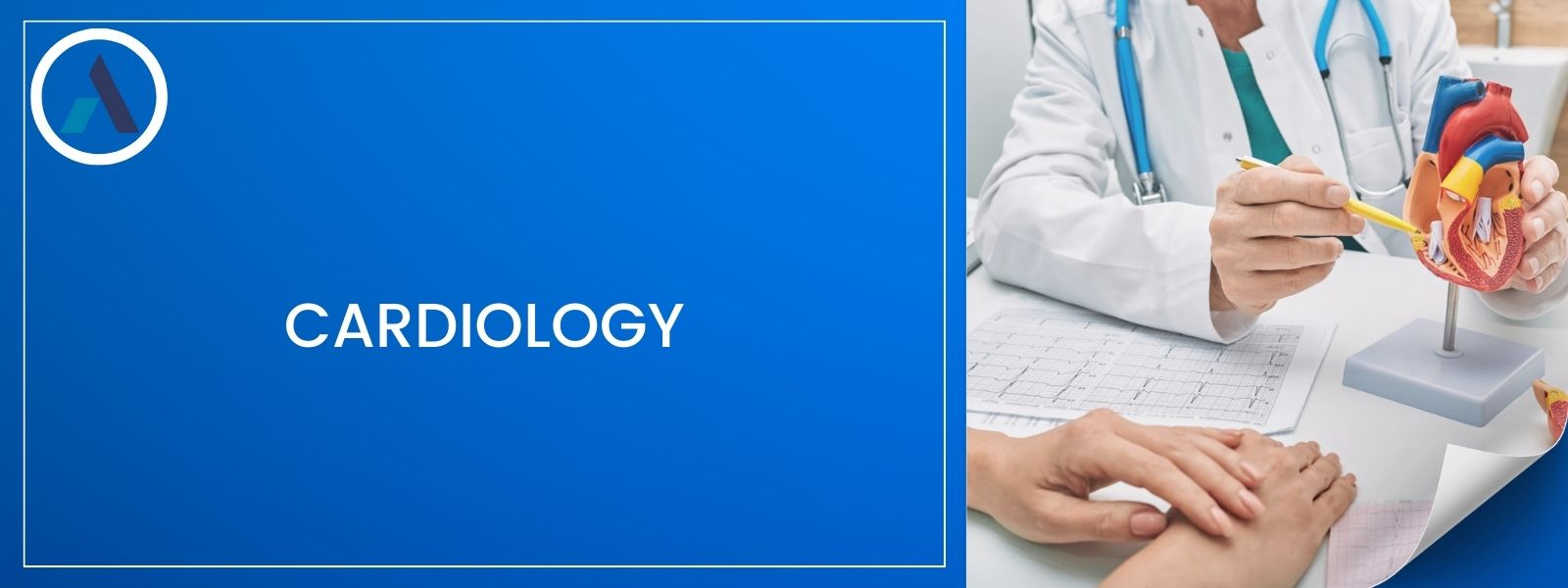 Cardiology